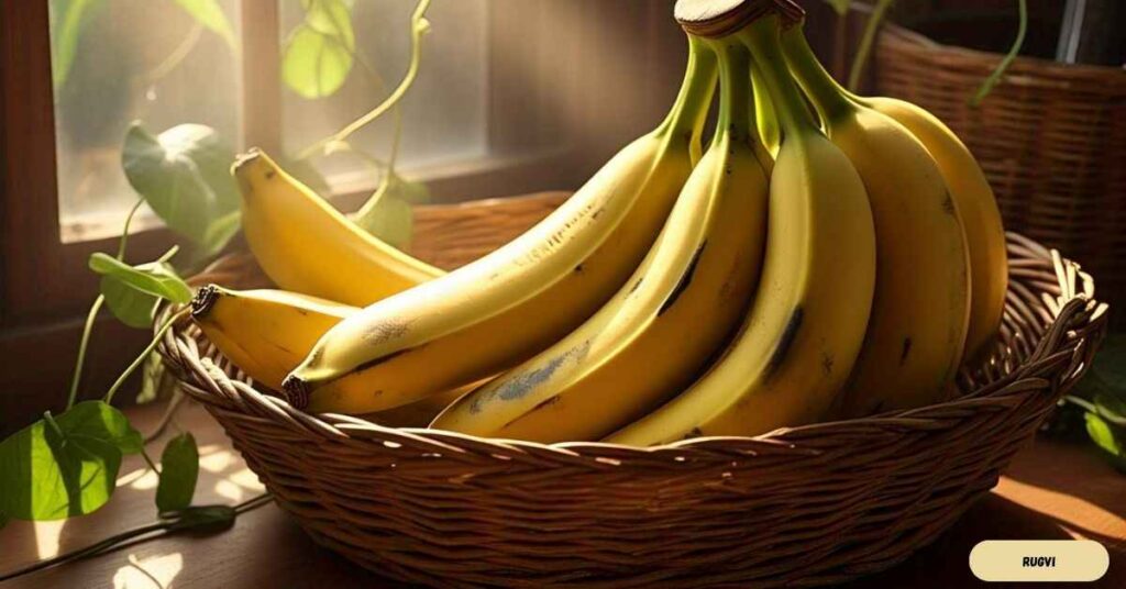 10 Everyday Gut Healing Foods